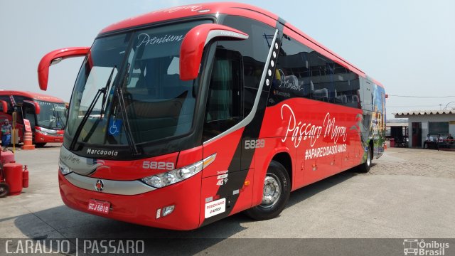 Empresa de Ônibus Pássaro Marron 5829 na cidade de Guarulhos, São Paulo, Brasil, por Cainã Marcos de Araujo. Número da foto: #5382653.