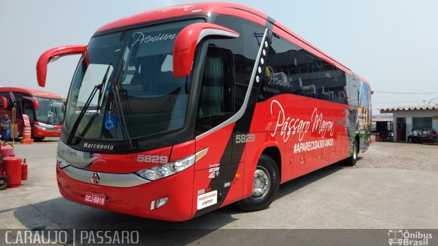 Empresa de Ônibus Pássaro Marron 5829 na cidade de Guarulhos, São Paulo, Brasil, por Cainã Marcos de Araujo. ID da foto: 5382653.