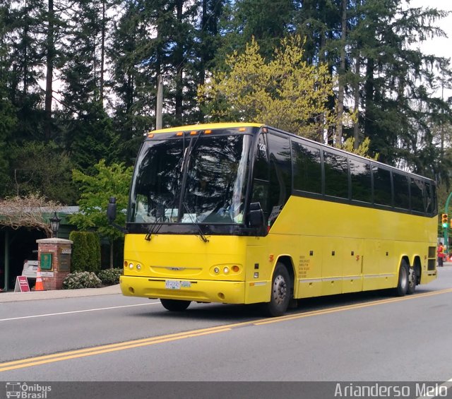 Private Buses - Buses without visible identification 228 na cidade de , por Arianderso Melo. ID da foto: 5382546.