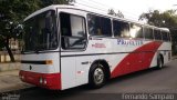 Protetur Viagens e Turismo 1613 na cidade de Recife, Pernambuco, Brasil, por Fernando Sampaio . Número da foto: #5380578.