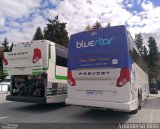 BlueStar Coachlines 301 na cidade de , por Arianderso Melo. Número da foto: #5382572.