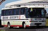 Guerino Seiscento 9701 na cidade de Marília, São Paulo, Brasil, por Francisco Ivano. Número da foto: #5321281.