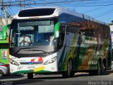 Buses Linatal 207 na cidade de , por Alvaro  Diaz Reyes. ID da foto: :id.