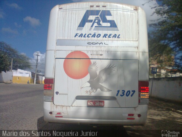 Falcão Real 1307 na cidade de Piritiba, Bahia, Brasil, por Mario dos Santos Nogueira Junior. Número da foto: #5328000.