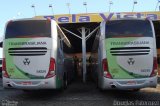 Transbrasiliana Transportes e Turismo 51021 na cidade de Uruaçu, Goiás, Brasil, por Douglas Paternezi. Número da foto: #5327279.