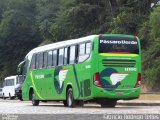 Pássaro Verde 11100 na cidade de Santa Bárbara, Minas Gerais, Brasil, por Fabrício Rodrigo Telles. Número da foto: #:id.