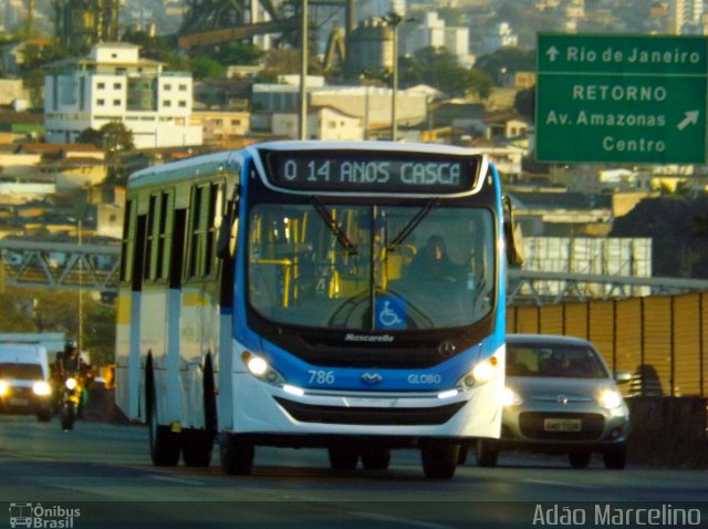 Transportadora Globo 786 na cidade de Belo Horizonte, Minas Gerais, Brasil, por Adão Raimundo Marcelino. ID da foto: 5330664.