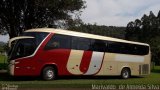 Maira Turismo 1931 na cidade de São Miguel do Oeste, Santa Catarina, Brasil, por Marivaldo  de Almeida Silva. Número da foto: #5335027.