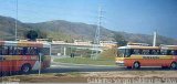 Renalita Transportes e Turismo 450 na cidade de Aparecida, São Paulo, Brasil, por Galdinho Sergio Galdino da Silva. Número da foto: #5335813.